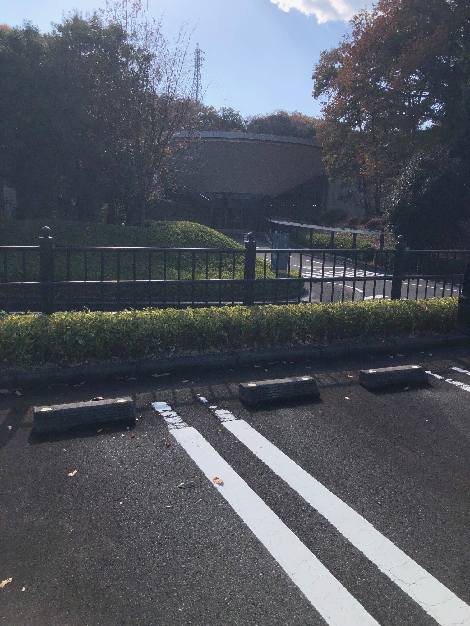 11月28日【火葬式】厚木市斎場