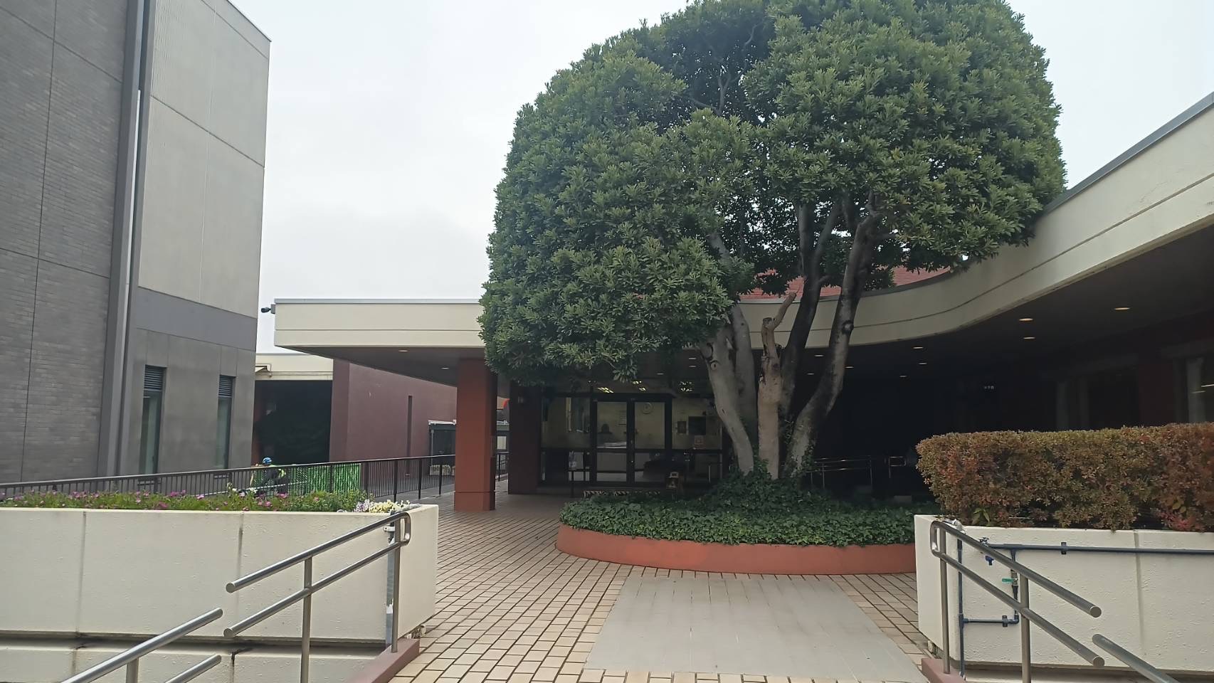 12月25日【火葬式】瑞江葬儀所