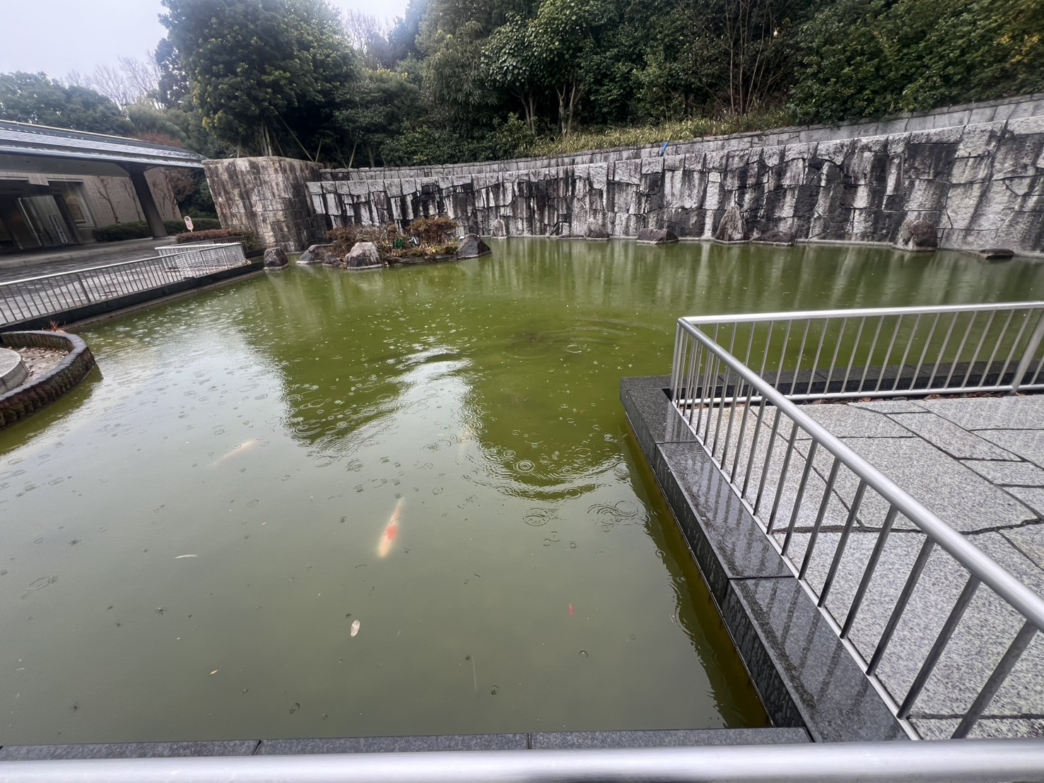 2月11日【火葬式】相模原市営斎場